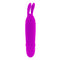 MINI VIBRADOR BOYCE