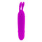 MINI VIBRADOR BOYCE